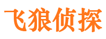 宁安市婚外情调查